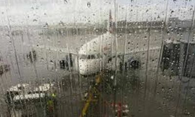 Ледяной дождь в Москве стал причиной задержек десятков рейсов