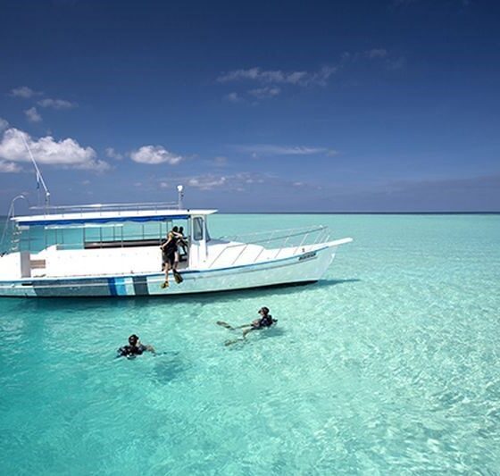 Дайвинг как искусство: погружаемся в яркий подводный мир Velassaru Maldives