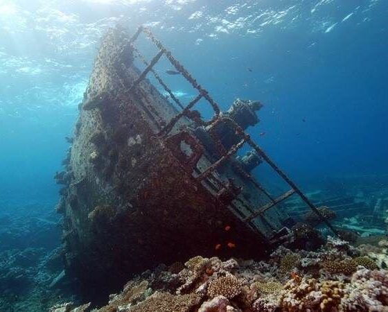 В Египте туристы увидят обломки древнего затонувшего корабля