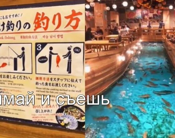 Забавные рестораны Японии вызывают смешанные чувства у пользователей TikTok