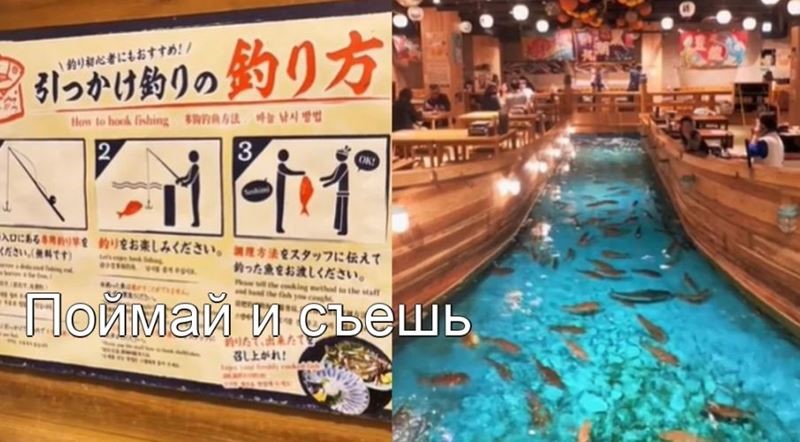 Забавные рестораны Японии вызывают смешанные чувства у пользователей TikTok
