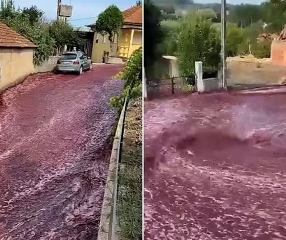 Один из городов Португалии затопило красным вином